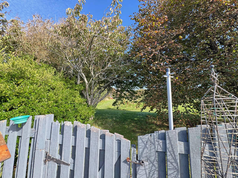 Rear of Property, Gate into Field
