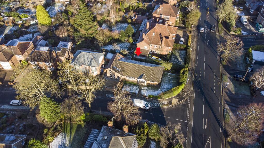 DJI_0655.jpg