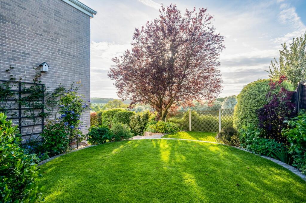 Back Garden 