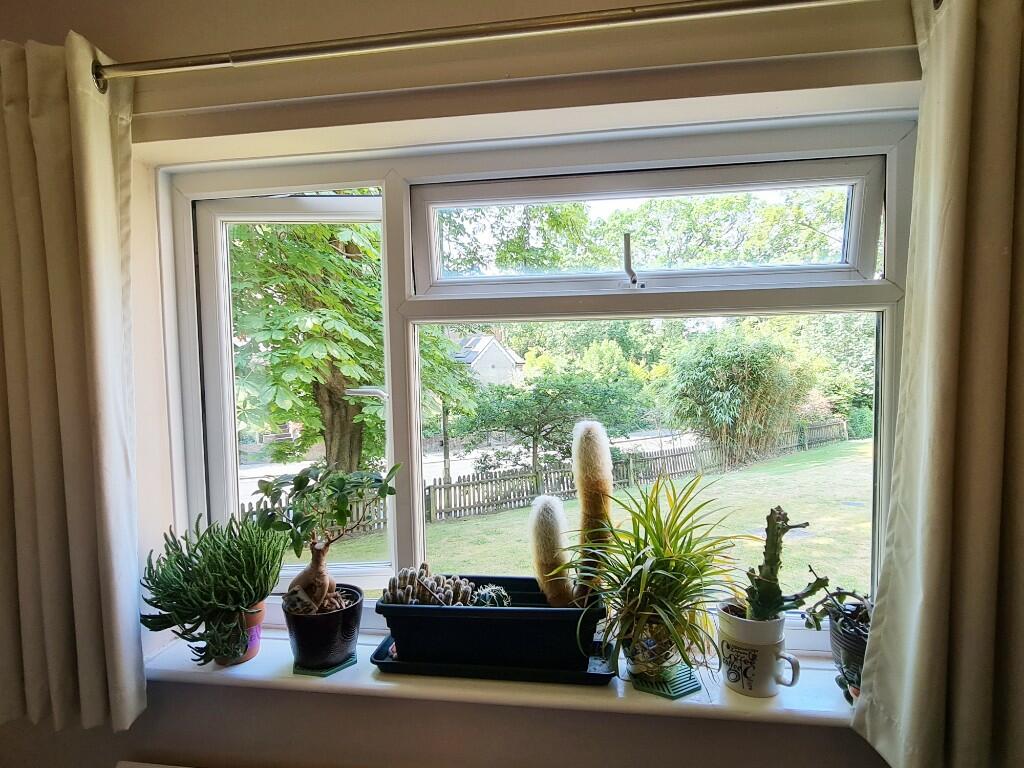 Kitchen Outlook