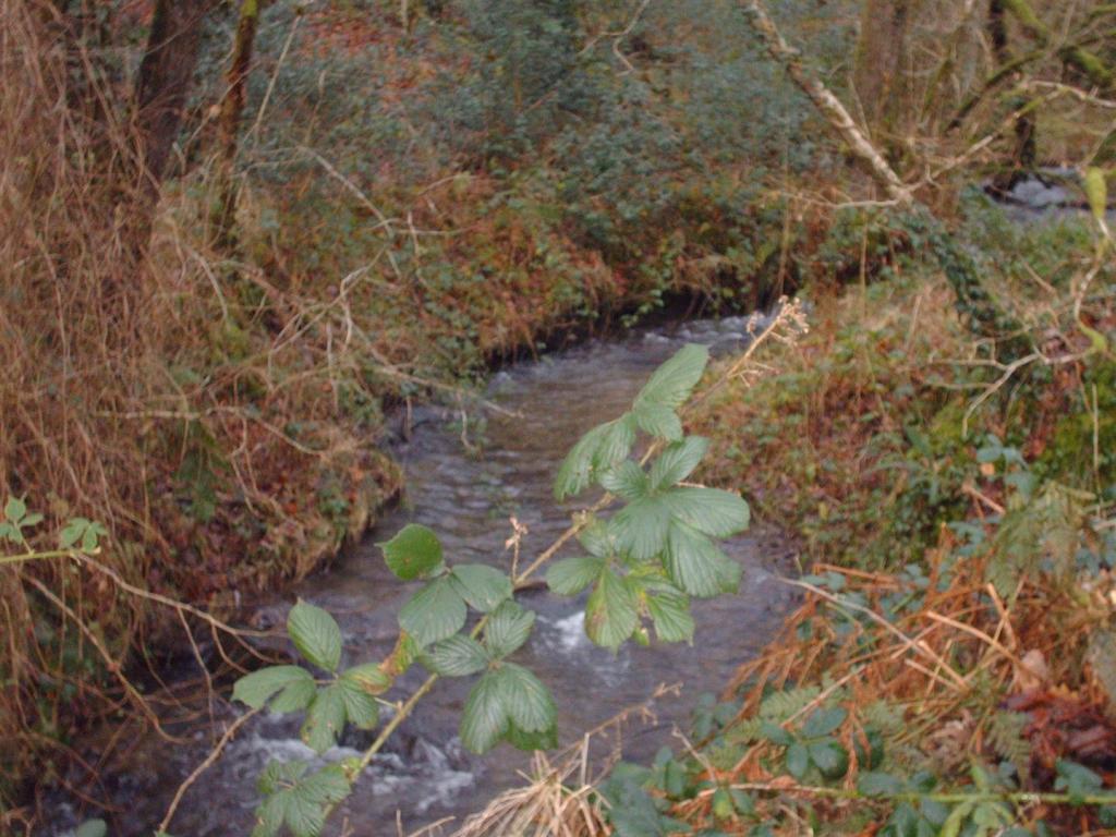 STREAM