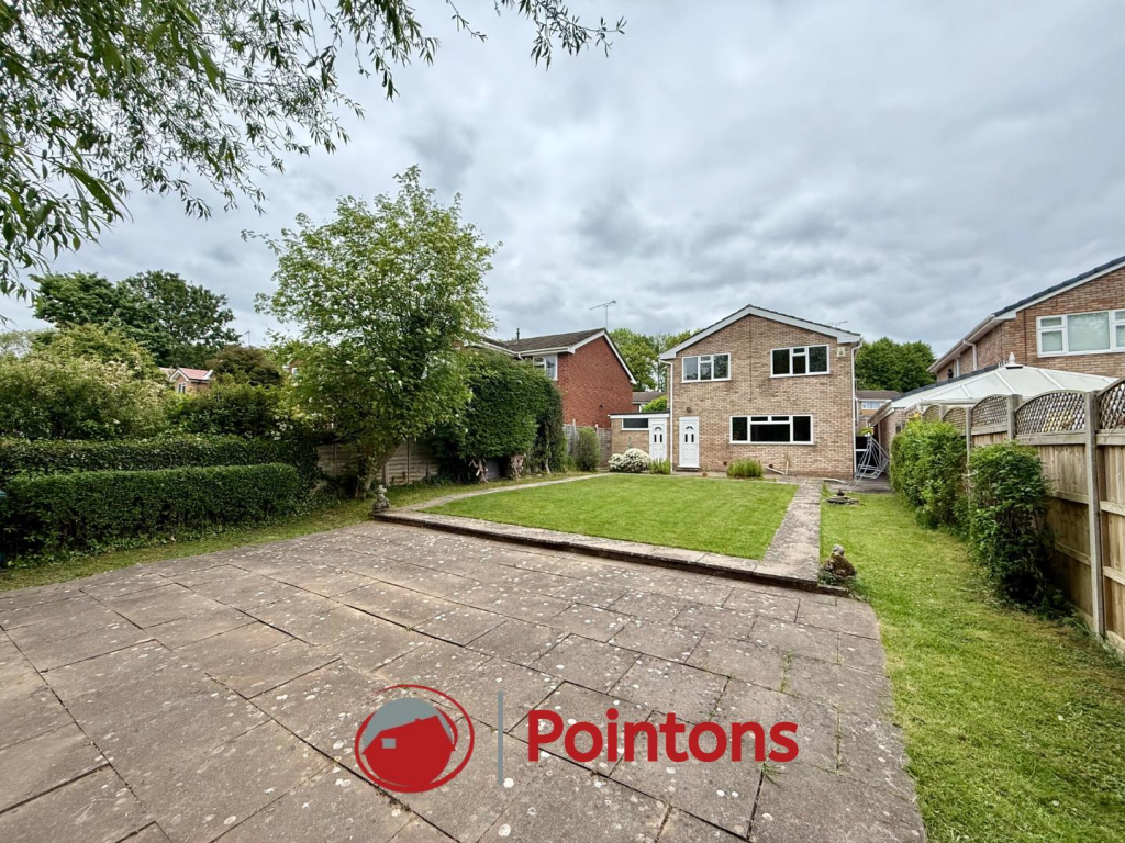 Logo image  (28).png