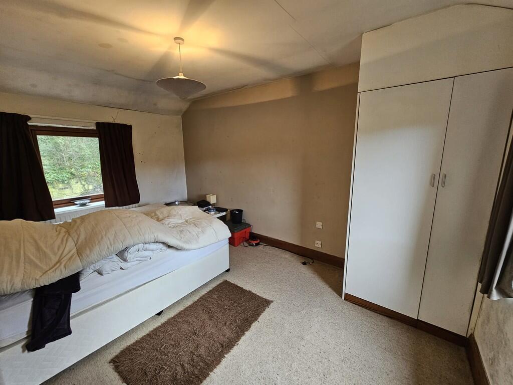 IMG-20250228-WA00...