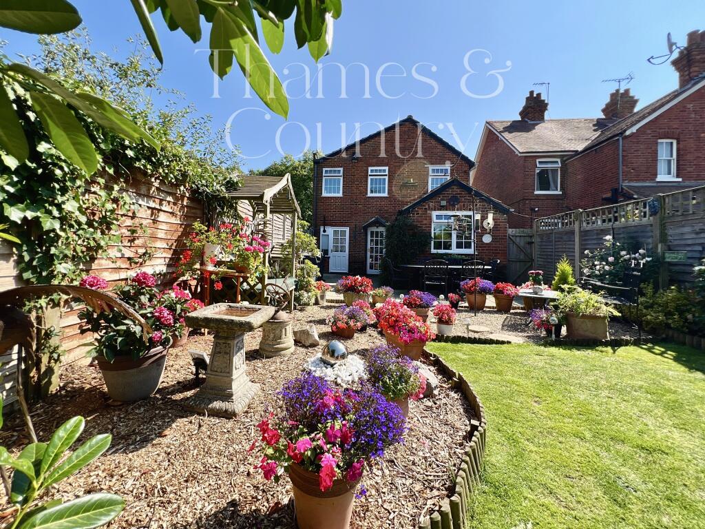 Back garden