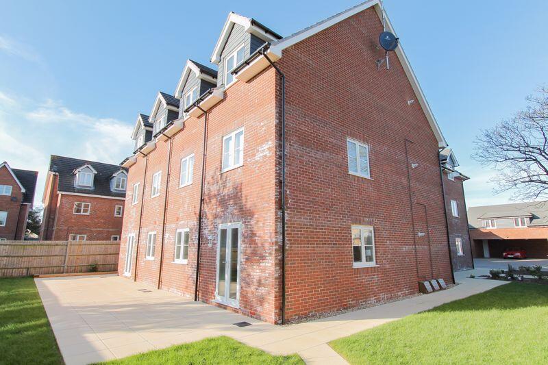 Rear Aspect