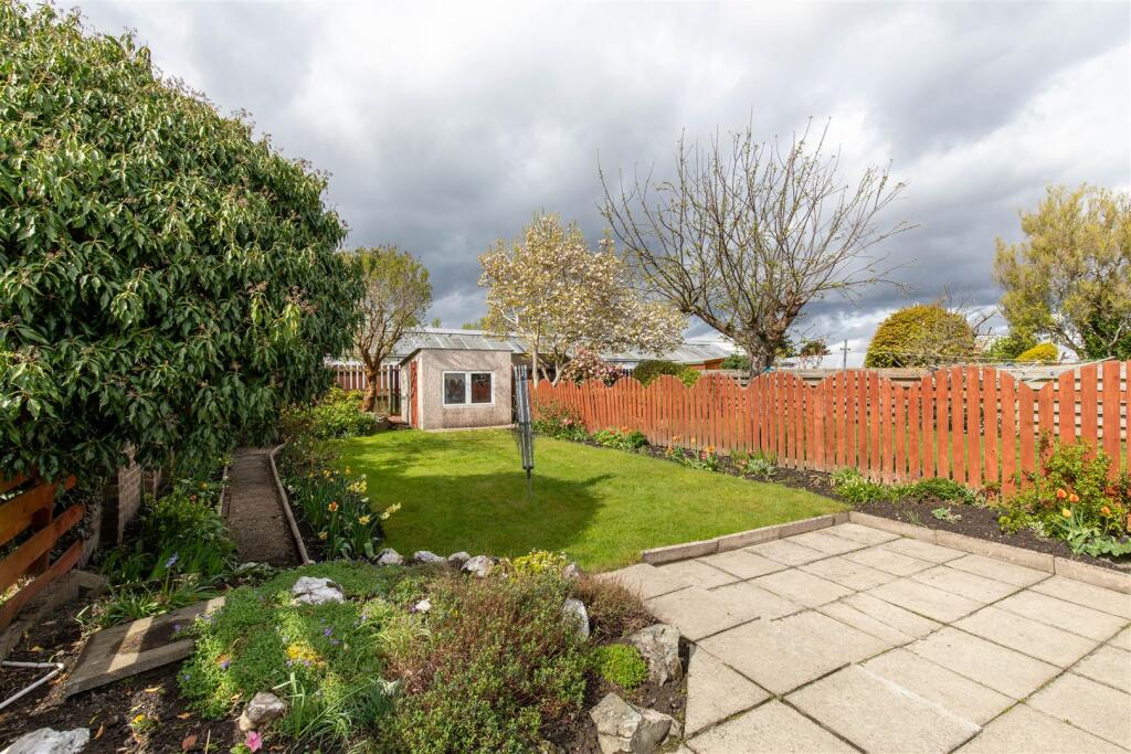 garden 4.jpg