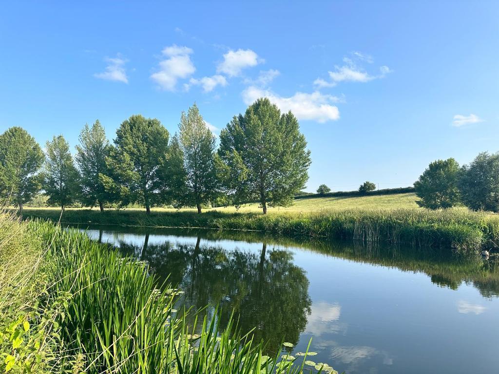 Lovely walks just across the field