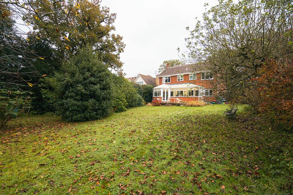 Back Garden