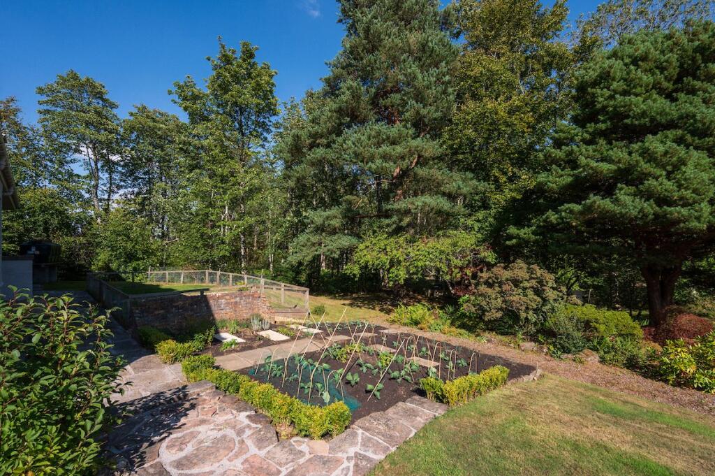 Vegetable Patch