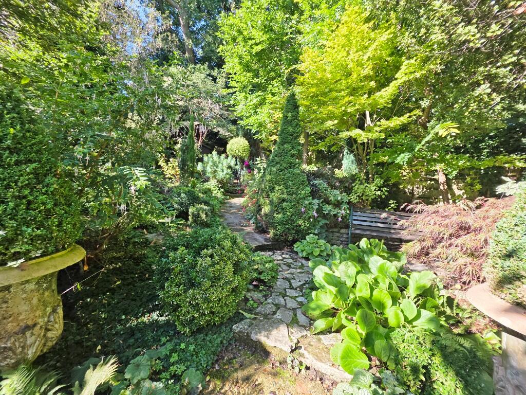 Exotic Shrubs