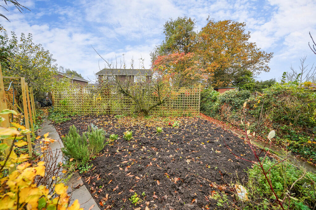 The Garden