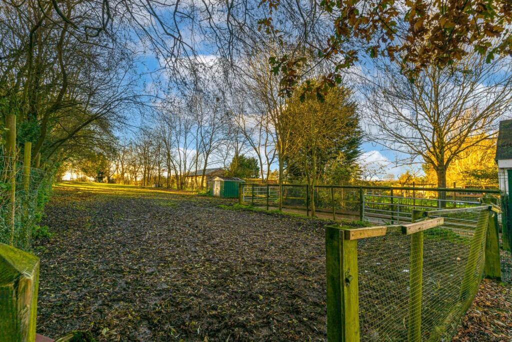 Rear garden 3