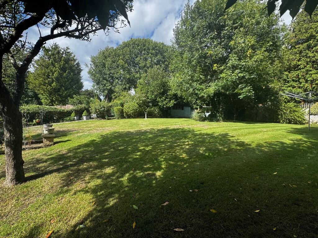 garden2