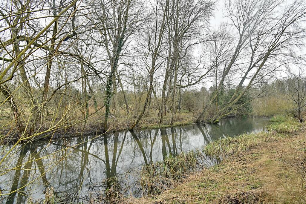 River.jpg