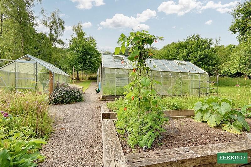 Vegetable Garden