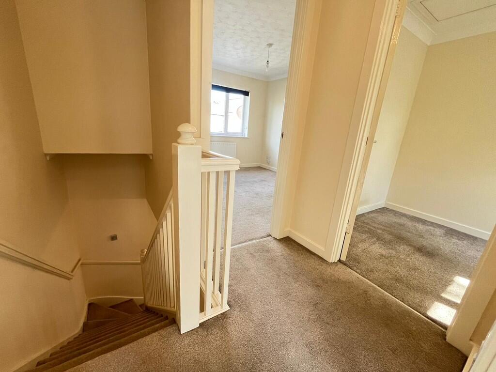 WhatsApp Image 20...