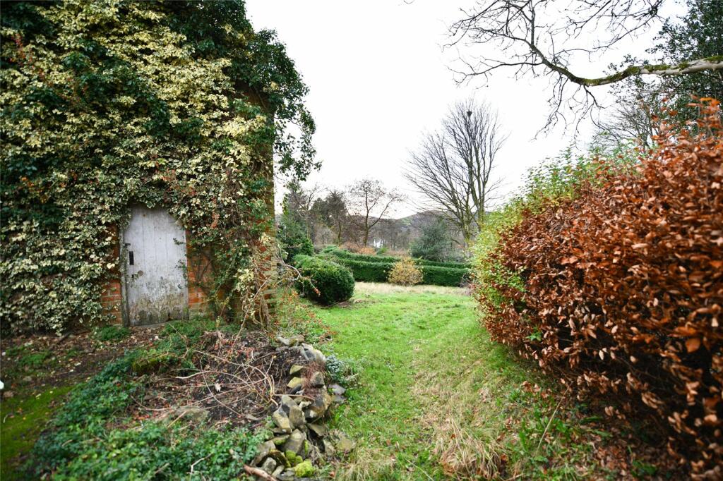 Garden Rear