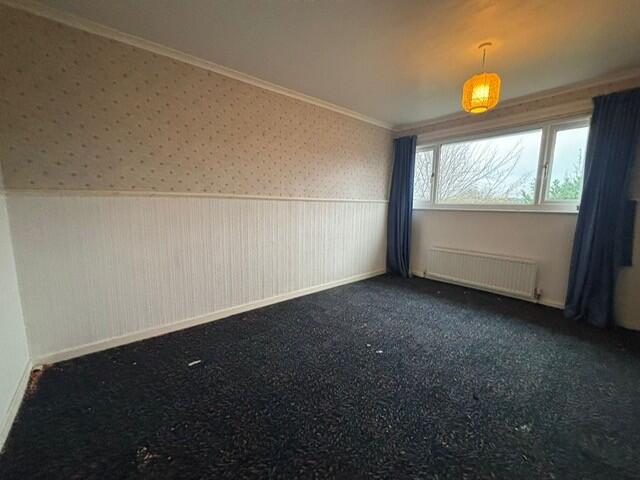 Dccbc494-6dd4-45b7-9149-4f157b36ca44 T202601071632.jpeg