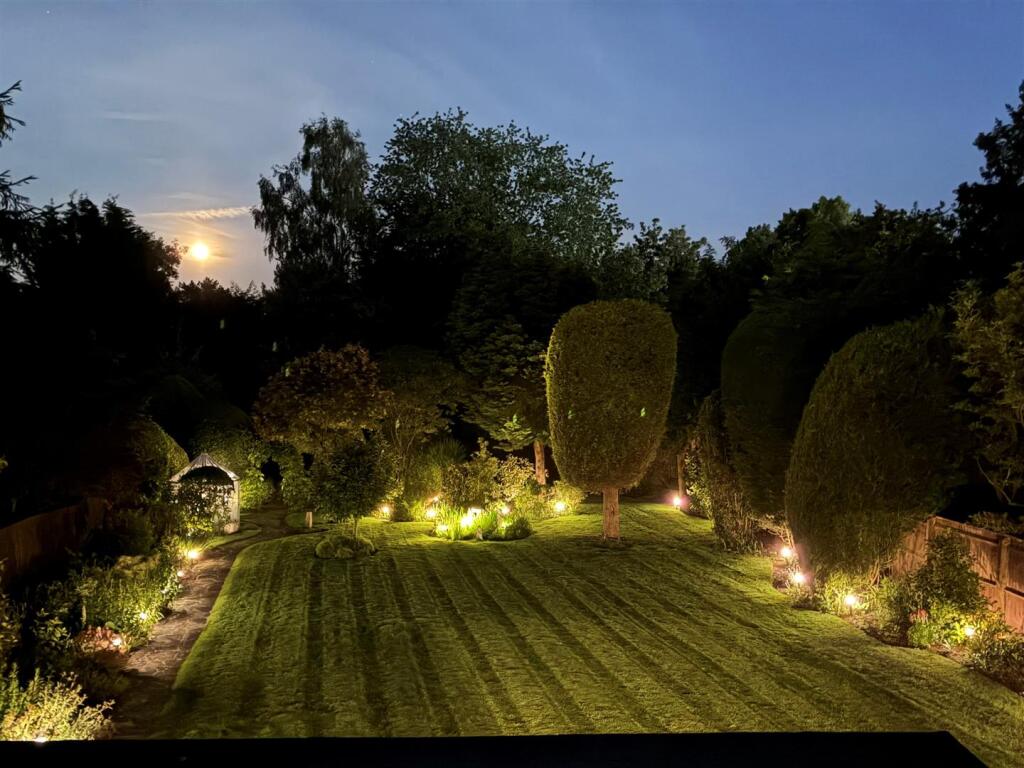 Garden Night Shot.jpg