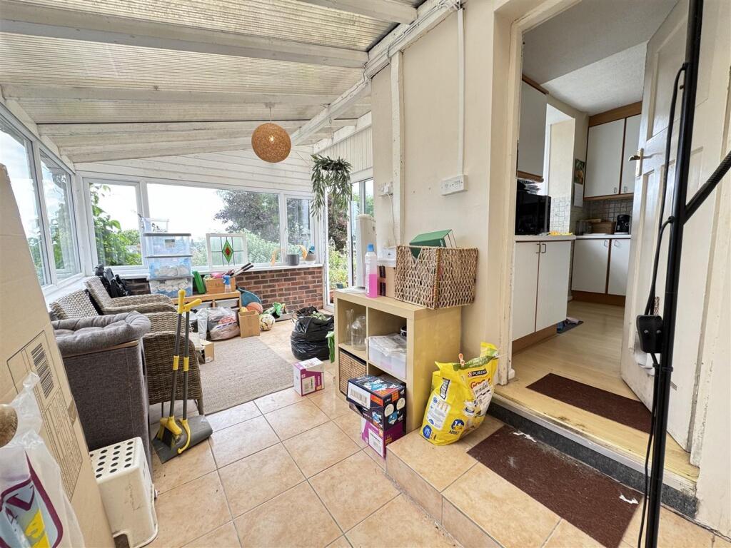 IMG_9582 (Large).JPG