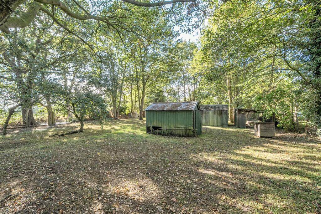 i1.jpg