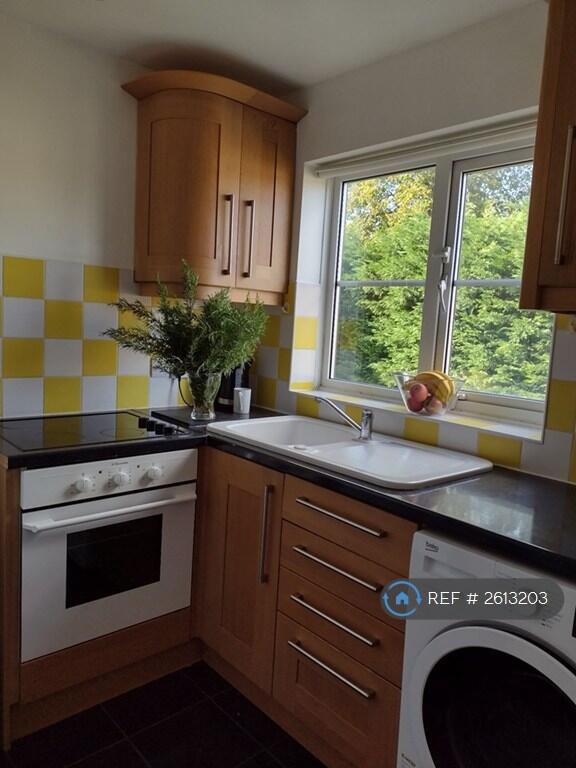 Prepare Delicious Meals.