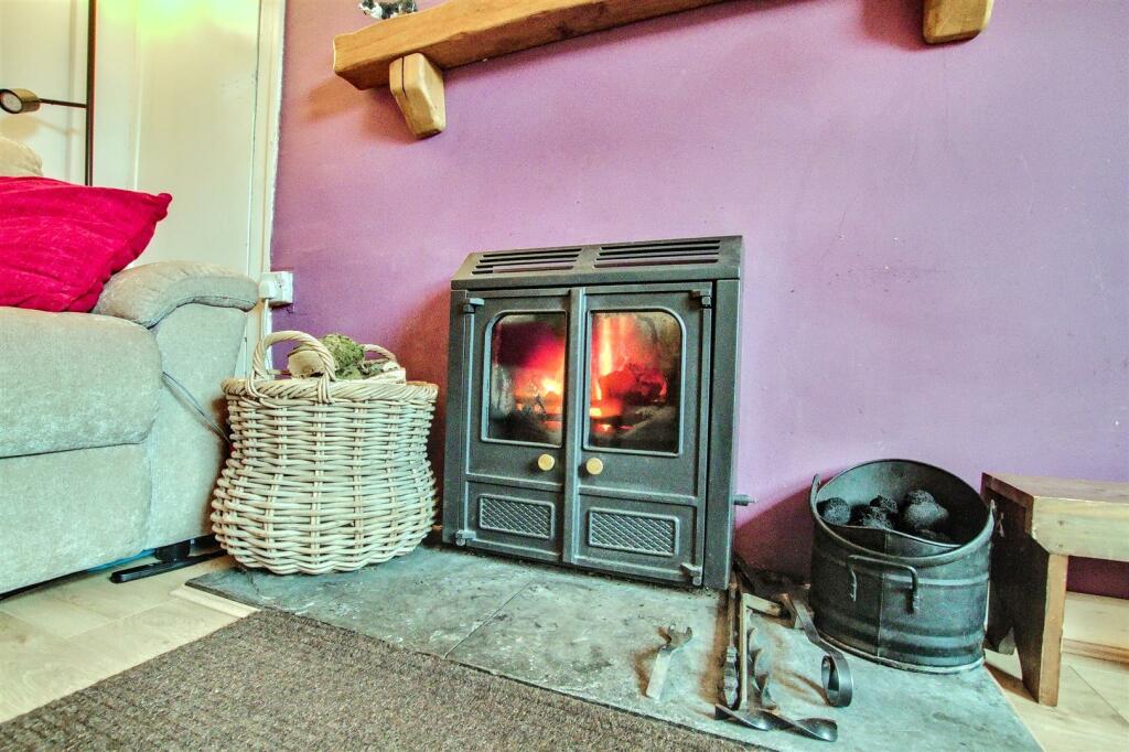 Multi-fuel Burning Stove