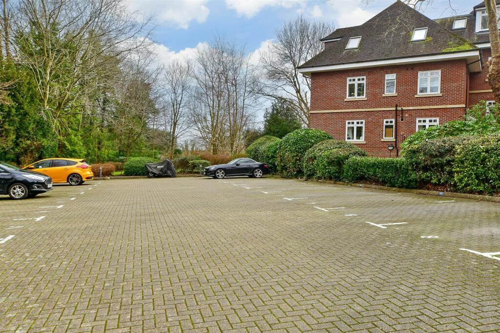Driveway/Parking