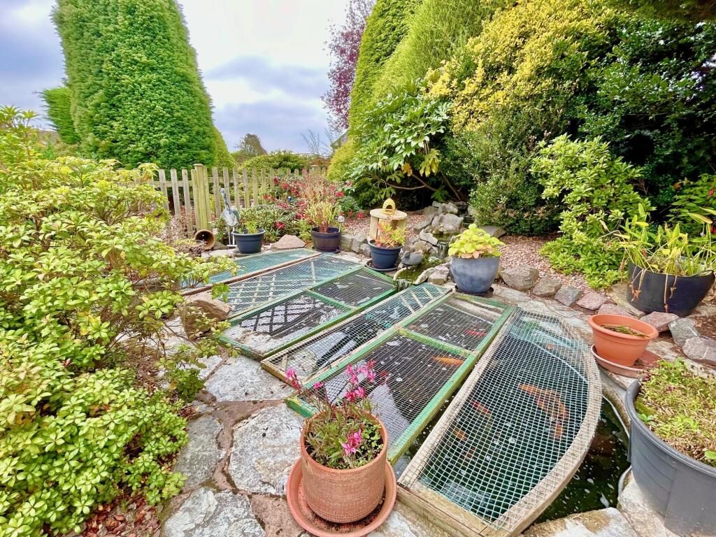 Garden Pond