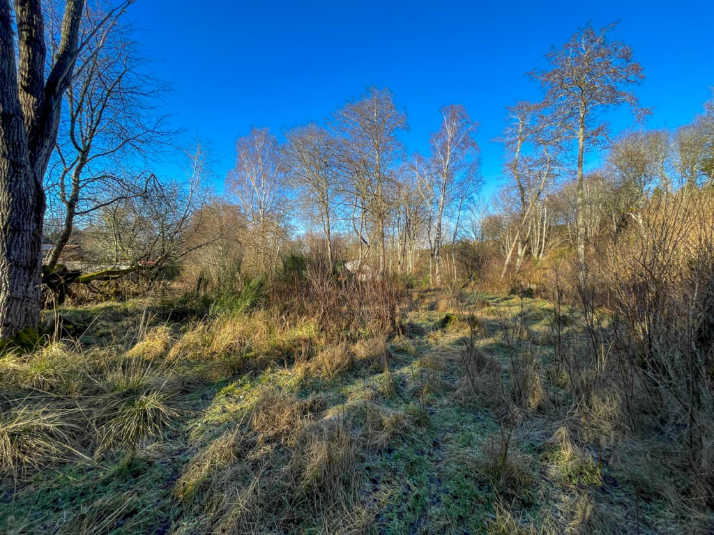Ground Level View