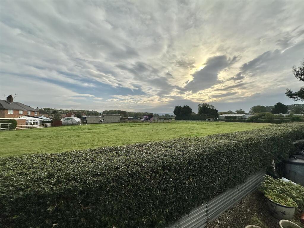 Luke Miller &amp; Associates