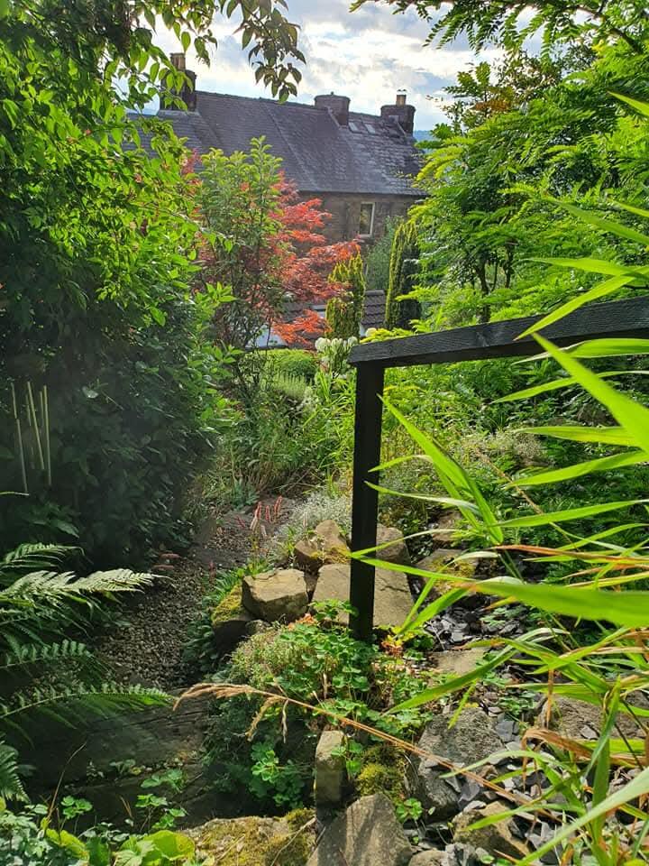 GARDEN IN SPRING