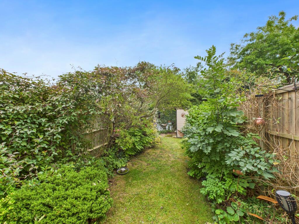 garden 1