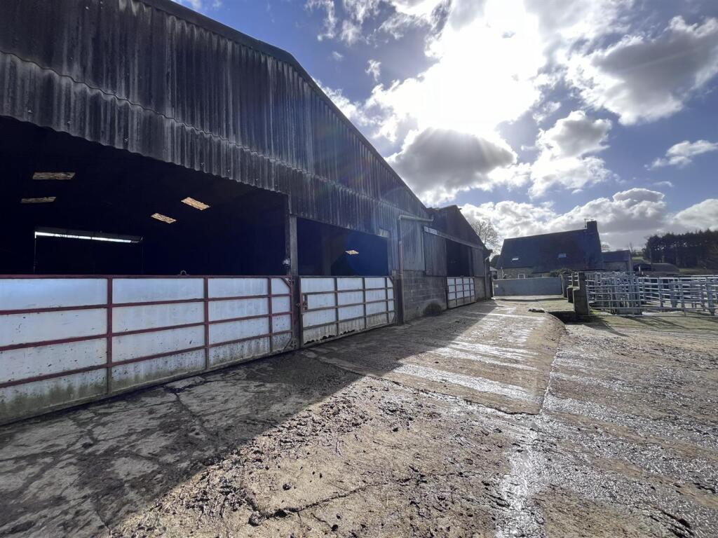 cattle barns.JPEG