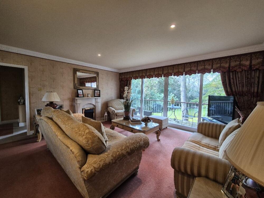 20250205_113244_resized_1