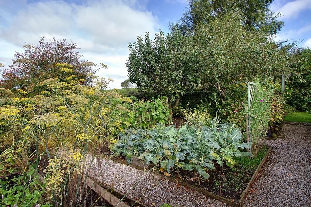 Vegetable garden