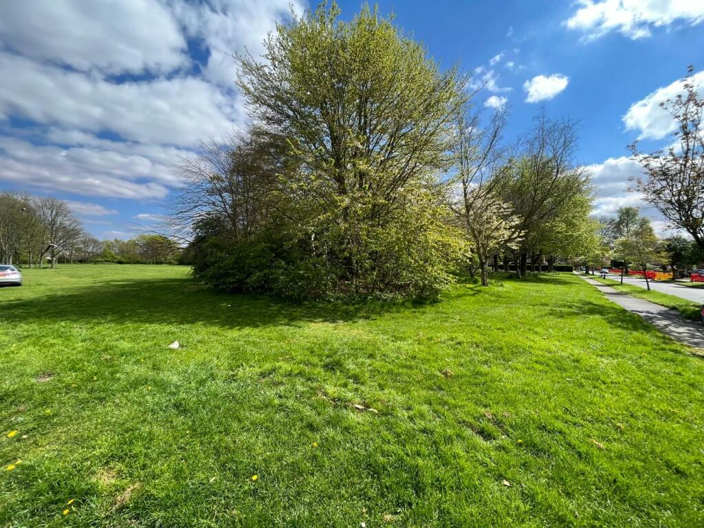 Open Green Area to the front.jpg