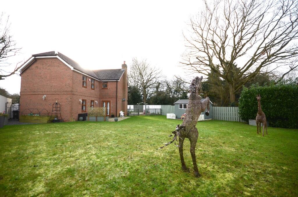 Rear garden