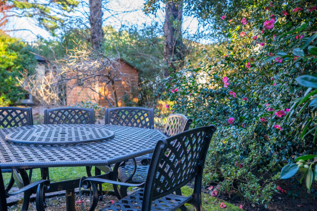 Garden 4