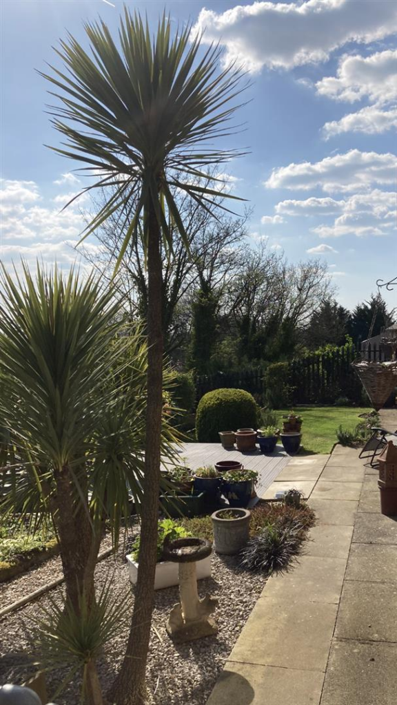 Vendor Garden Image.png