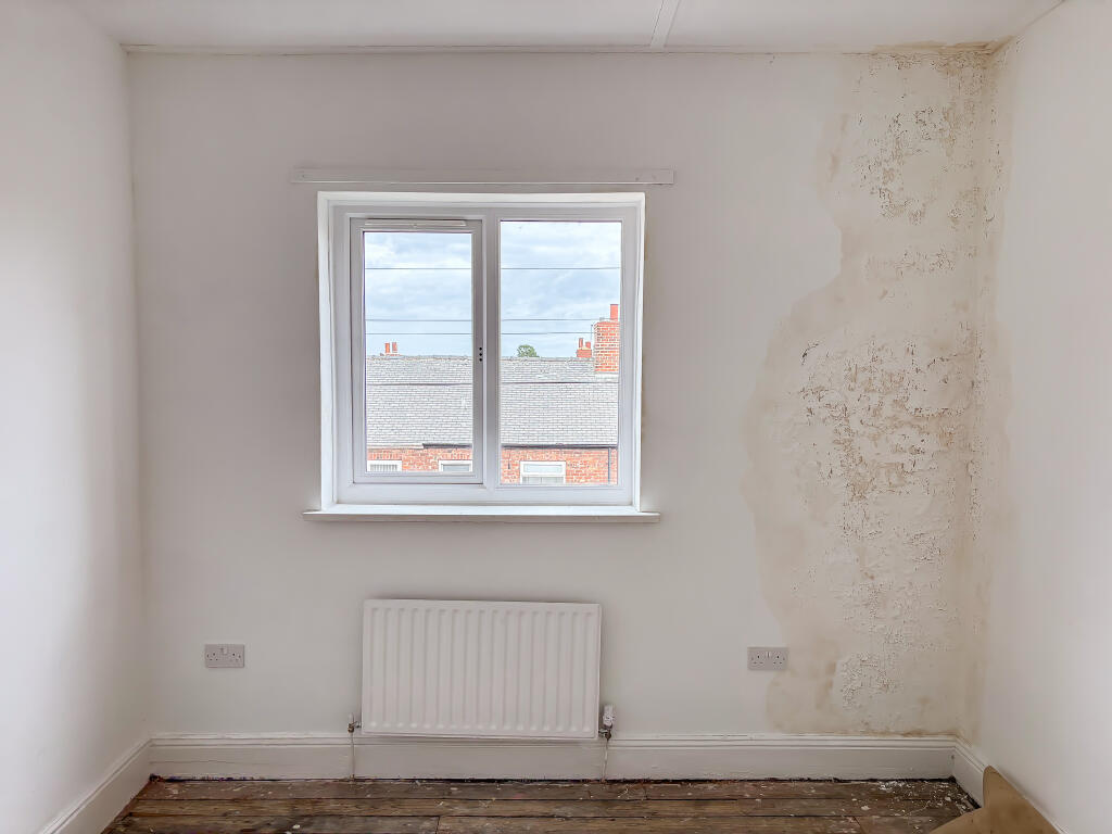 IMG 4128 T202507171616.jpg