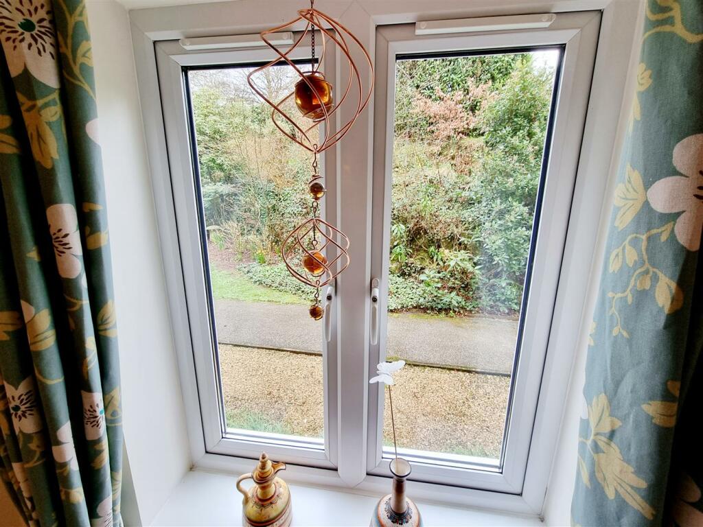 Window.jpg