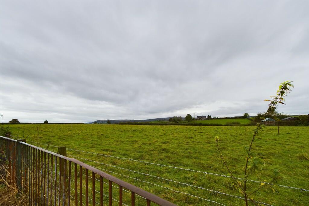 View from Garden