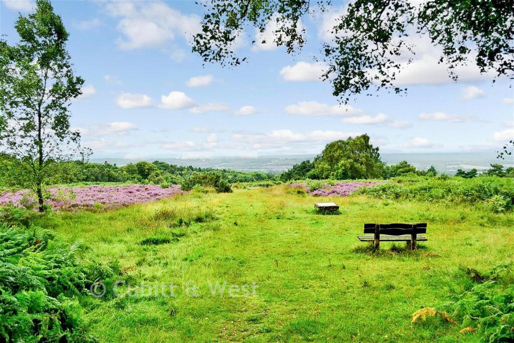 Surrounding Area - Ashdown Forest