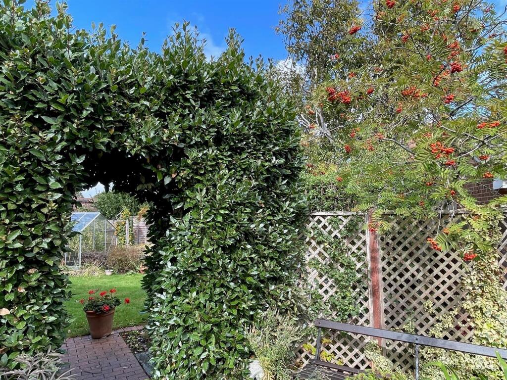 Garden 3.jpg