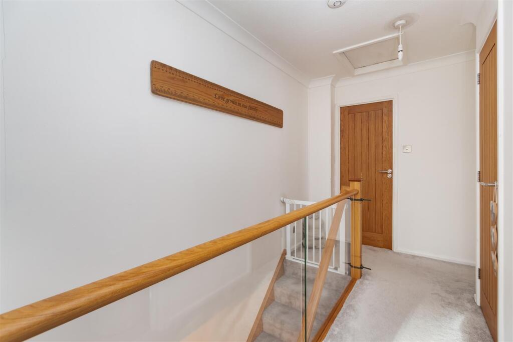 29 Colt Stead-HR8.jpg