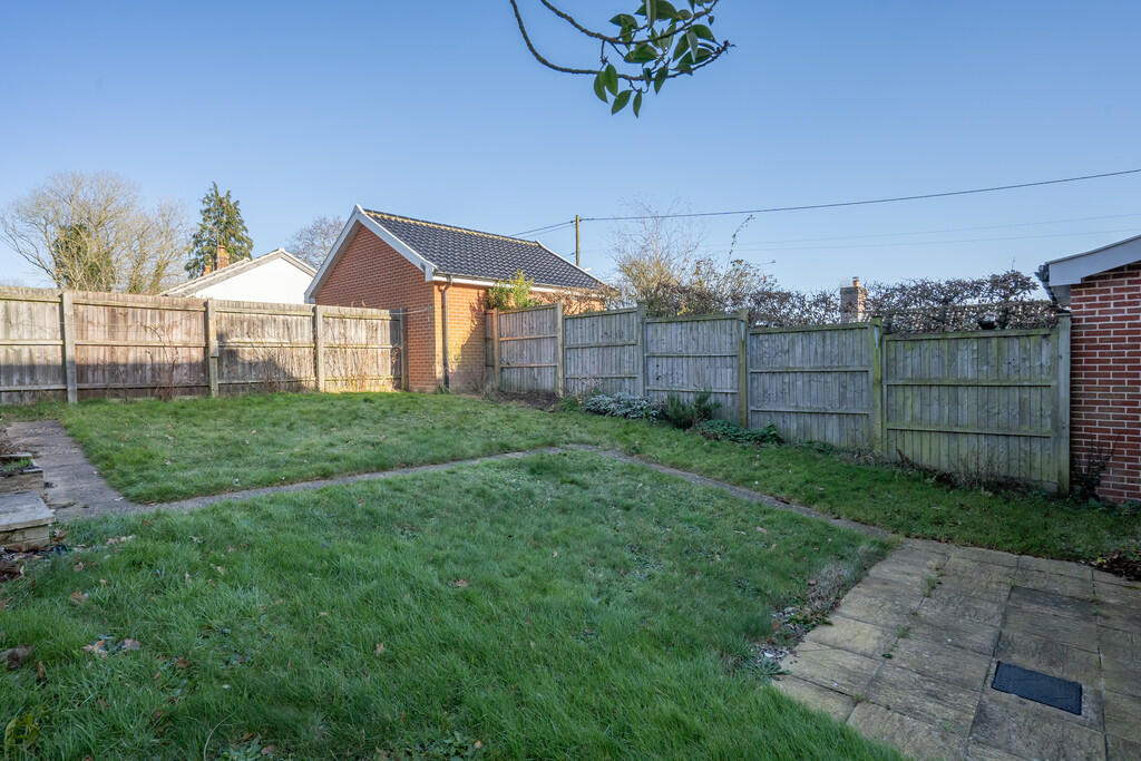 Back garden 