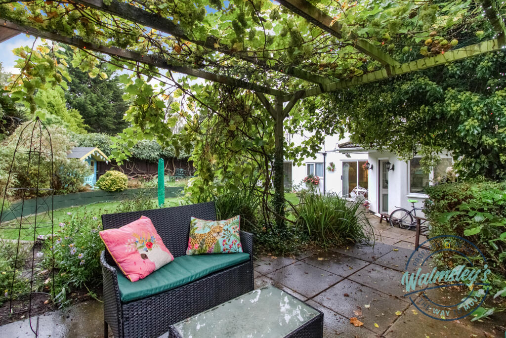 Sitting area &amp; grape vine