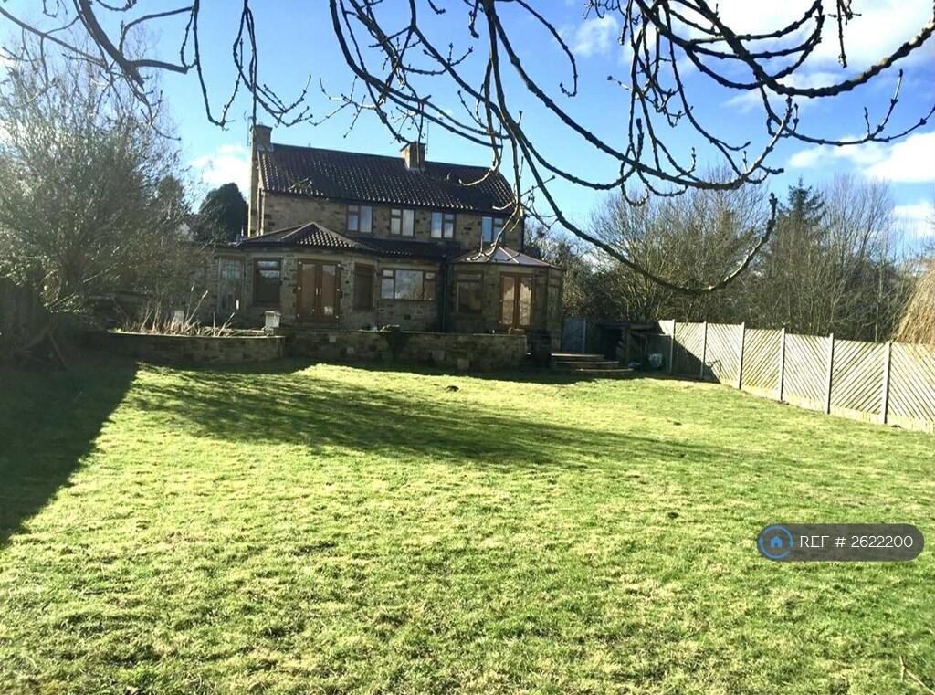 Back Garden