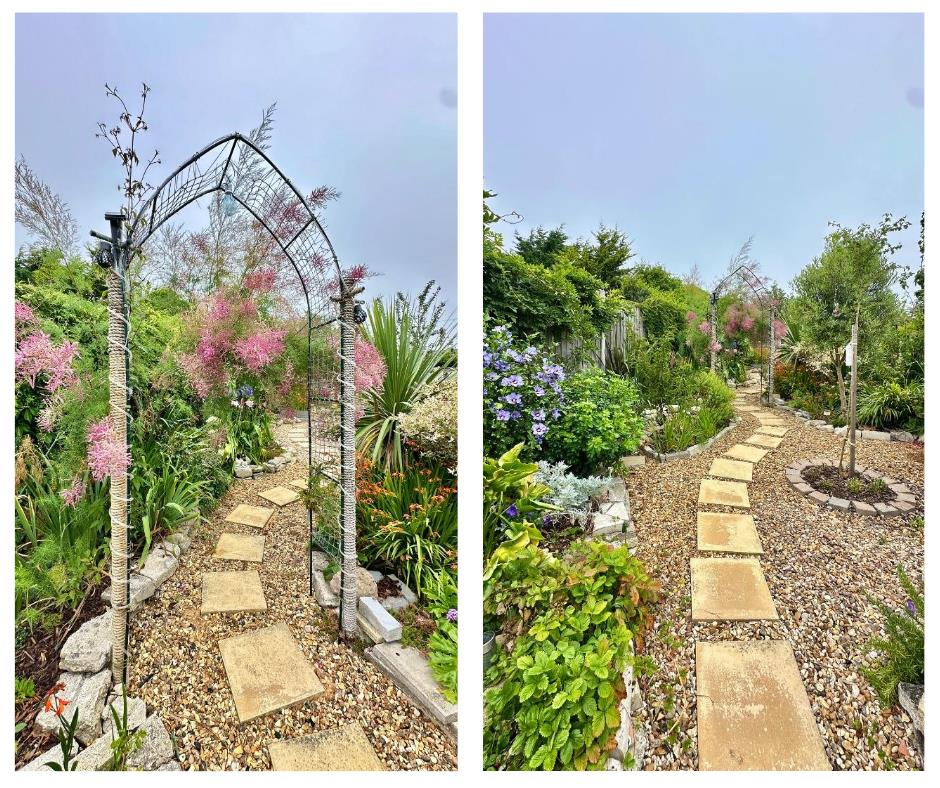 Untitled design (2).png